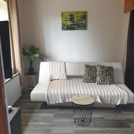 Equipe A Apartment Besse-et-Saint-Anastaise